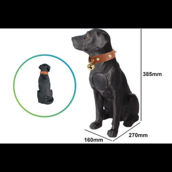 Boxă portabilă Labrador alb – Bluetooth CH M211M, radio, USB, microfon