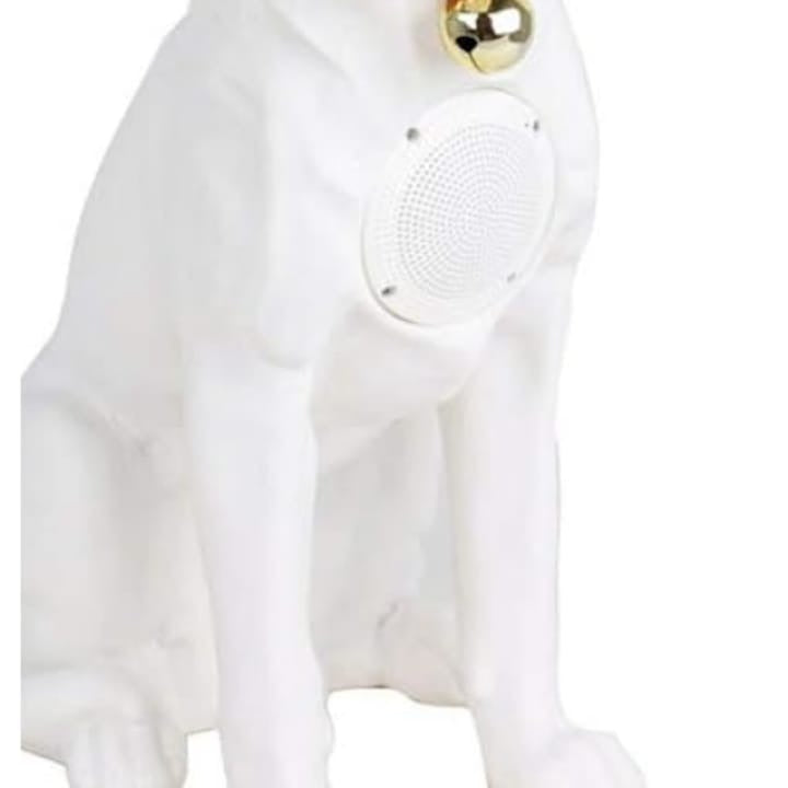 Boxă portabilă Labrador alb – Bluetooth CH M211M, radio, USB, microfon