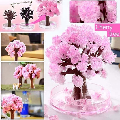 Copac Magic Sakura 1+1 Gratuit, Cristale Decorative, Educativ, Roz, 10x15 cm