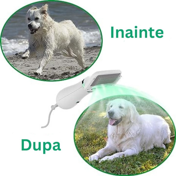 Perie animale 2 in 1 cu uscator - pentru caini/pisici, 3 moduri, zgomot redus, 300W, alb-verde - Sanatate si ingrijire