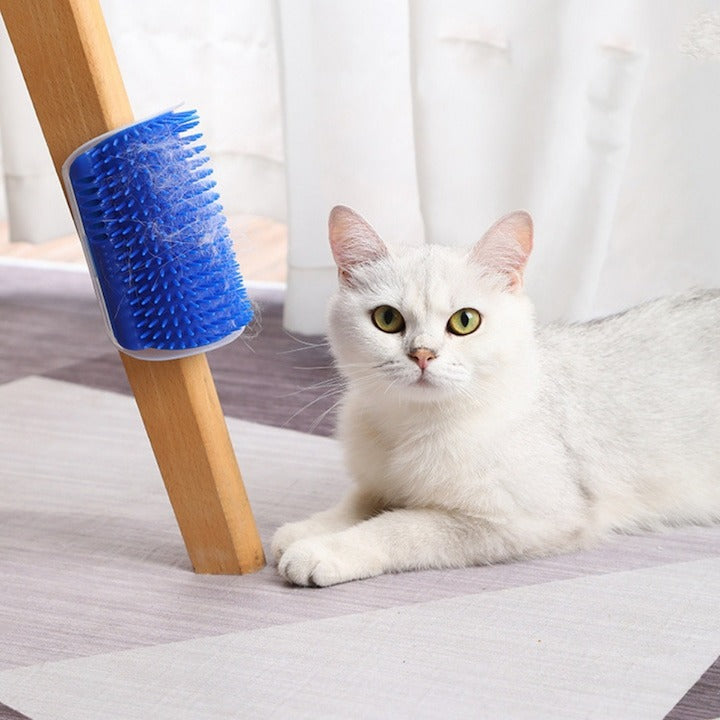 Perie masaj și curățare blană pisici cu Catnip – montaj pe colțuri, 8.5x12.5 cm