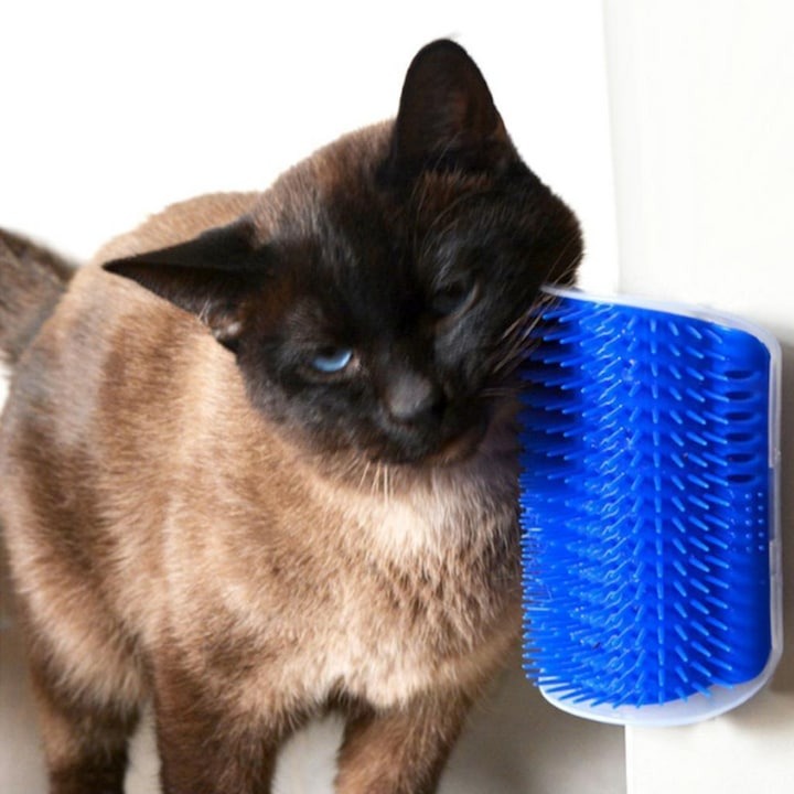 Perie De Masaj Pentru Pisici Cu Catnip - Relaxare, Joaca si Curatare Blana Direct Pe Colturi - Curatenie si intretinere