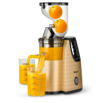Storcător Lent cu Melc RAF R.2838 150W Presare la Rece, Suc Fresh cu Pulpa Controlată