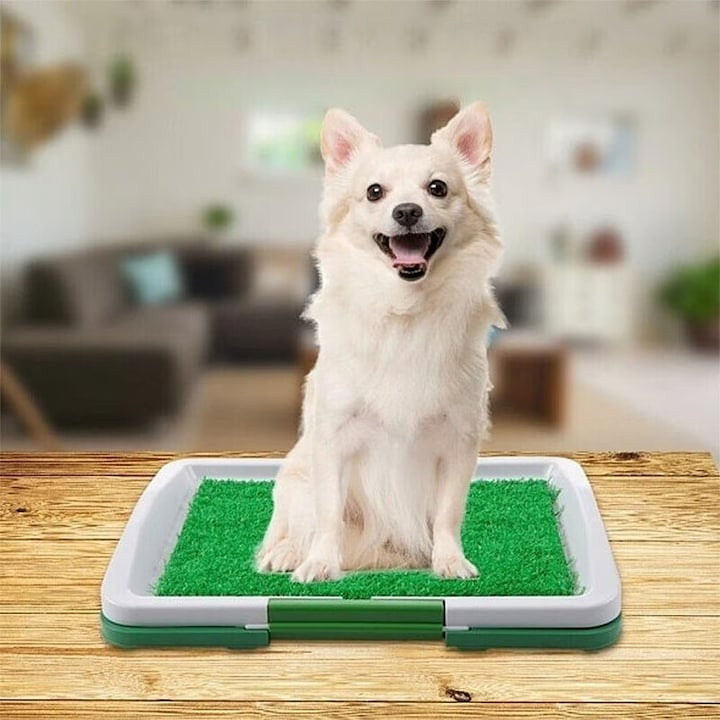 Toaletă pentru animale cu iarbă artificială – Interior & terasă, ușor de curățat