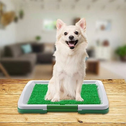 Toaletă pentru animale cu iarbă artificială – Interior & terasă, ușor de curățat